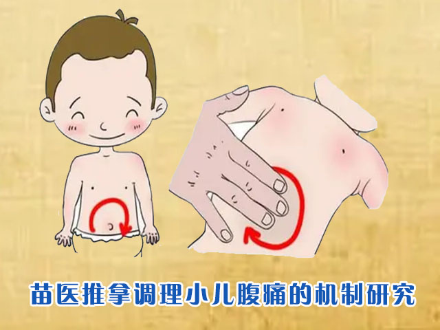 苗医推拿调理小儿腹痛的机制研究