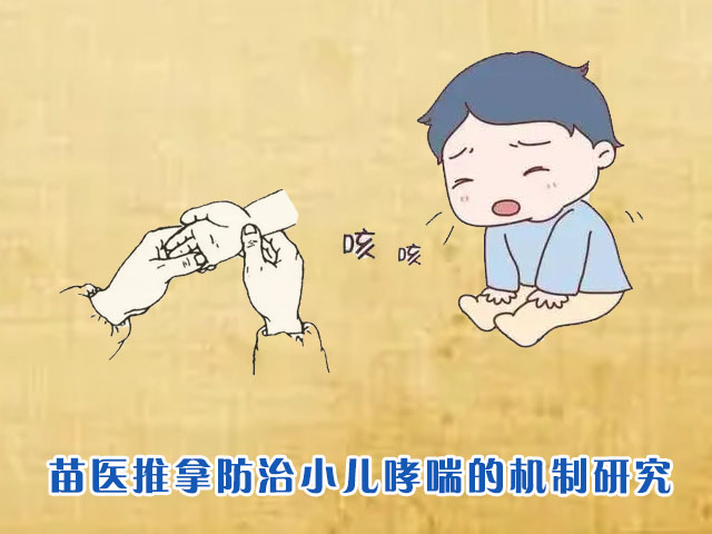 苗医推拿防治小儿哮喘的机制研究