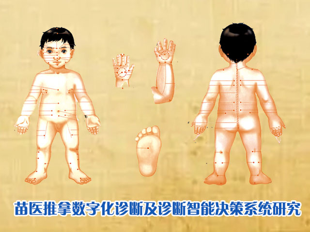 苗医推拿数字化诊断及诊断智能决策系统研究